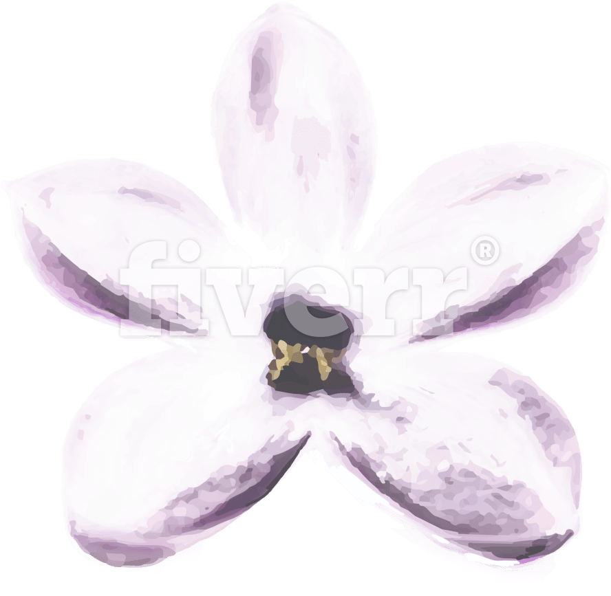Moth Orchid (1200x1098), Png Download
