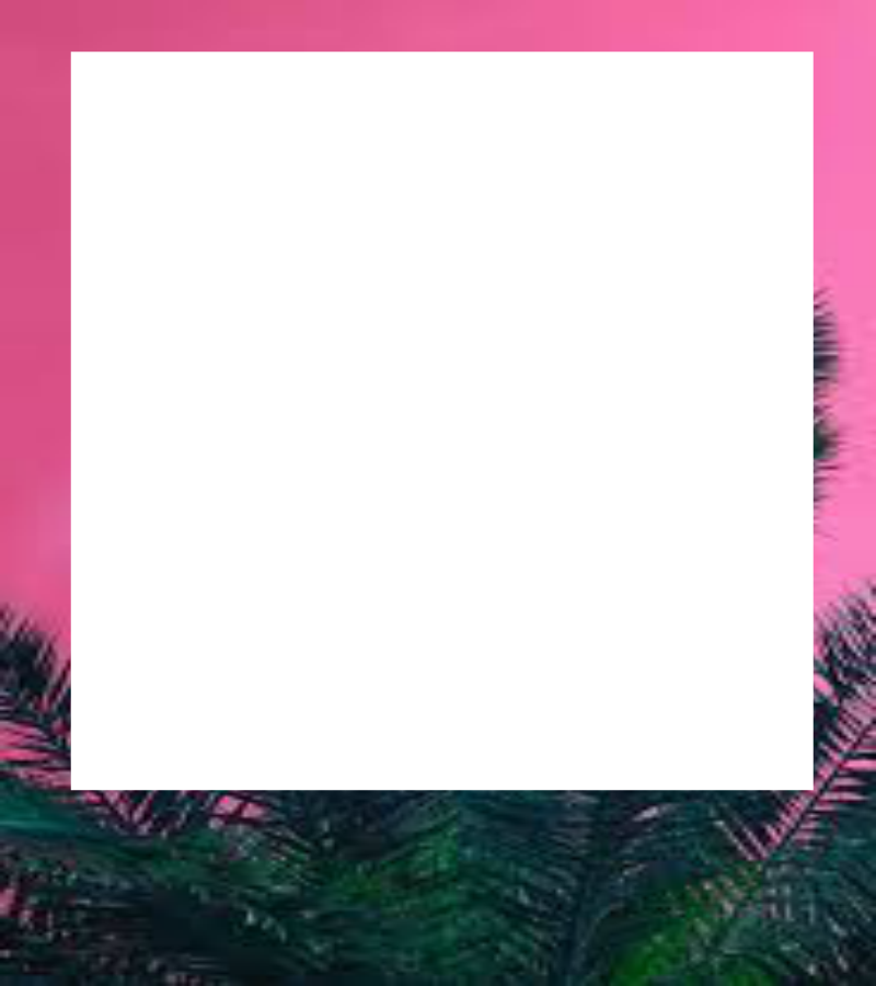 Christmas Tree (800x900), Png Download