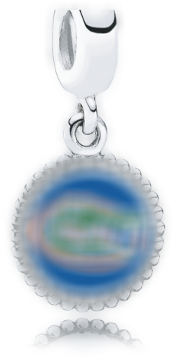 Pandora Florida Gators Charm - Pandora Vancouver Charm Usb791169-g053, Women's, Silver (700x700), Png Download
