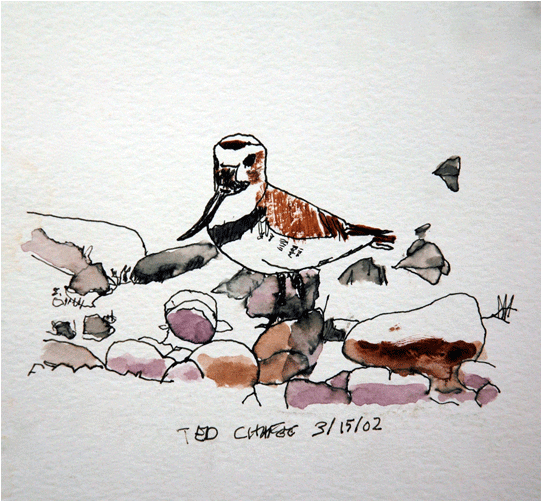 Watercolor Birds 2 - Watercolor Painting (700x500), Png Download