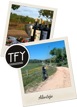 Pt Or Using Our Reservations Form - Picture Frame (350x369), Png Download