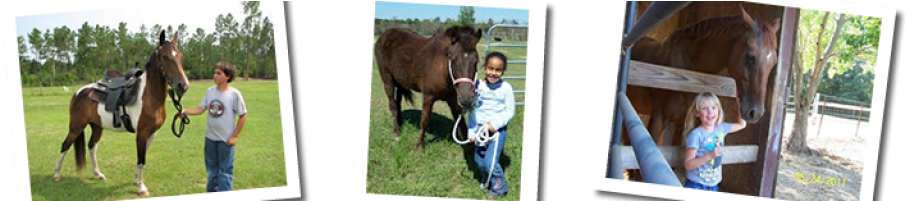 Panhandle Equine Rescue's Annual Benefit Ride Is Set - Working Animal (960x200), Png Download