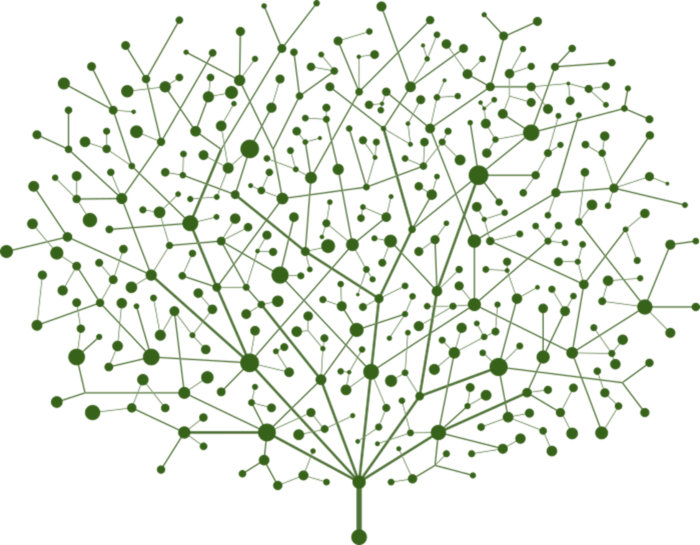 Tree Green - Vector Of Points And Lines Of Trees Abstract Graphics (700x545), Png Download