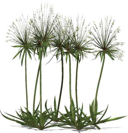 Go To Image - Paper (414x431), Png Download