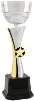 11 3 4 Silver Gold Textured Metal Cup Trophy - Silver (350x350), Png Download