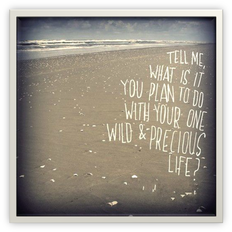 Life Plan Beach - Tell Me, What Is It You Plan To Do With Your One Wild (820x820), Png Download