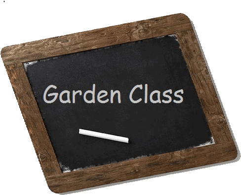 Garden Class Blackboard - First Class Teacher Journal Chalkboard Design (teacher (588x500), Png Download
