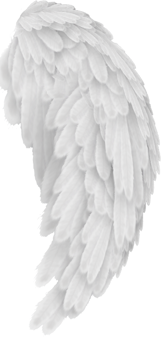 Angel Wings (332x693), Png Download