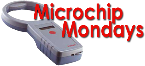Carolina Ranch Offers $10 Off Microchipping Every Monday - Gadget (700x288), Png Download