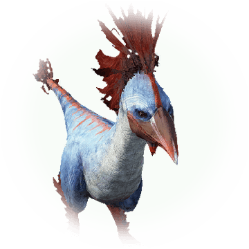 Icon - Domesticated Turkey (360x360), Png Download