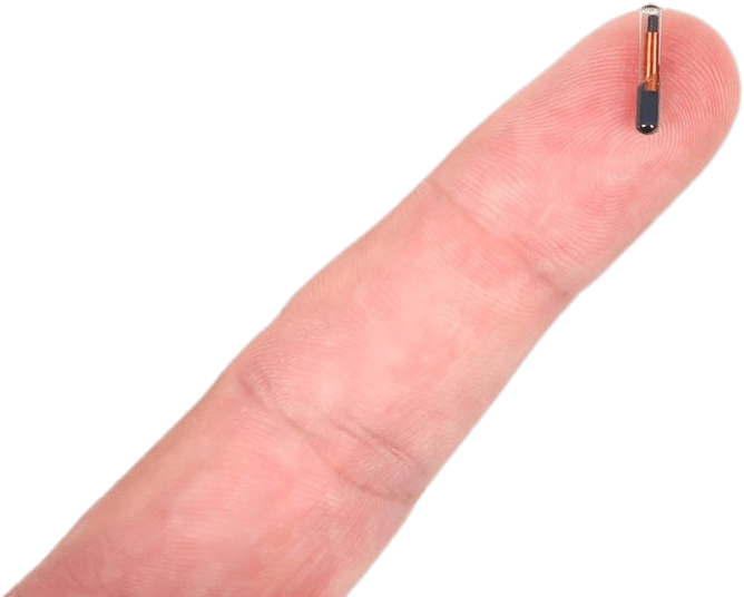 Electronics - Microchip Implant (1000x563), Png Download