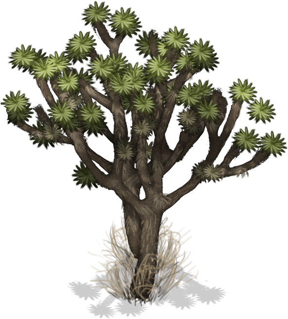 Air Island Big Tree - Tree (615x681), Png Download