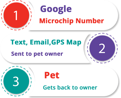 3 Steps - Telomere (407x331), Png Download