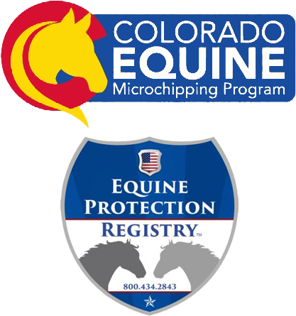 Equine Chip & Registration - Image May Contain: Text (450x450), Png Download