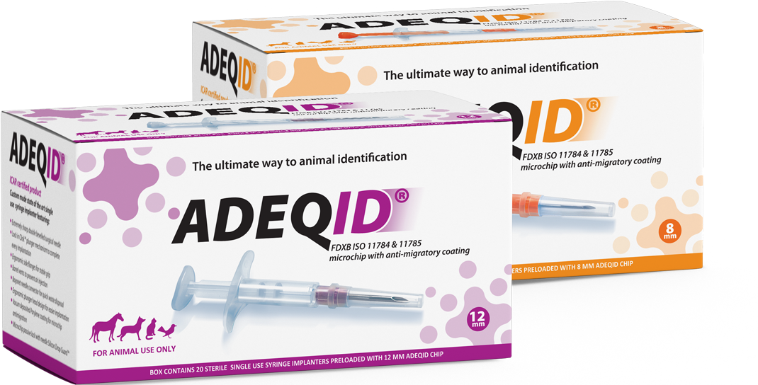 Click Here For More - Box (1084x598), Png Download