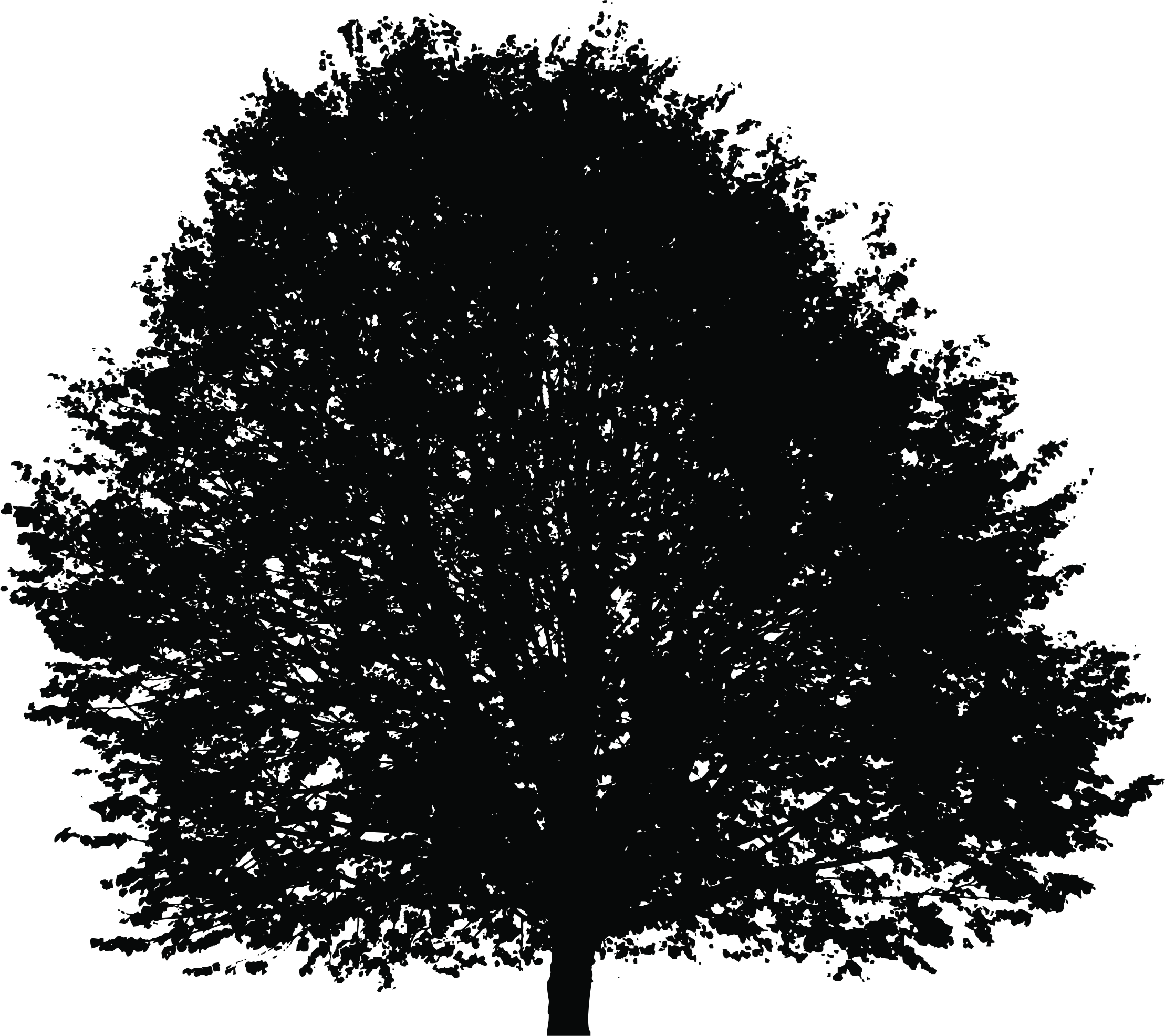 This Free Icons Png Design Of Large Lush Tree Silhouette (2218x1972), Png Download