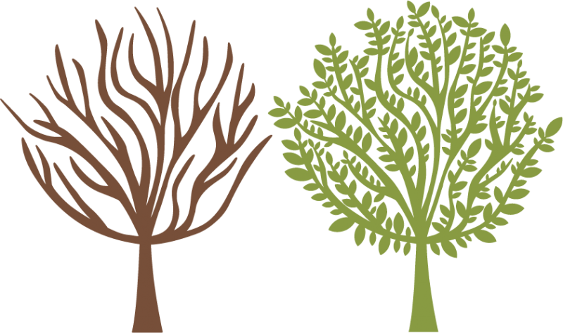 Https - Scalable Vector Graphics (800x474), Png Download