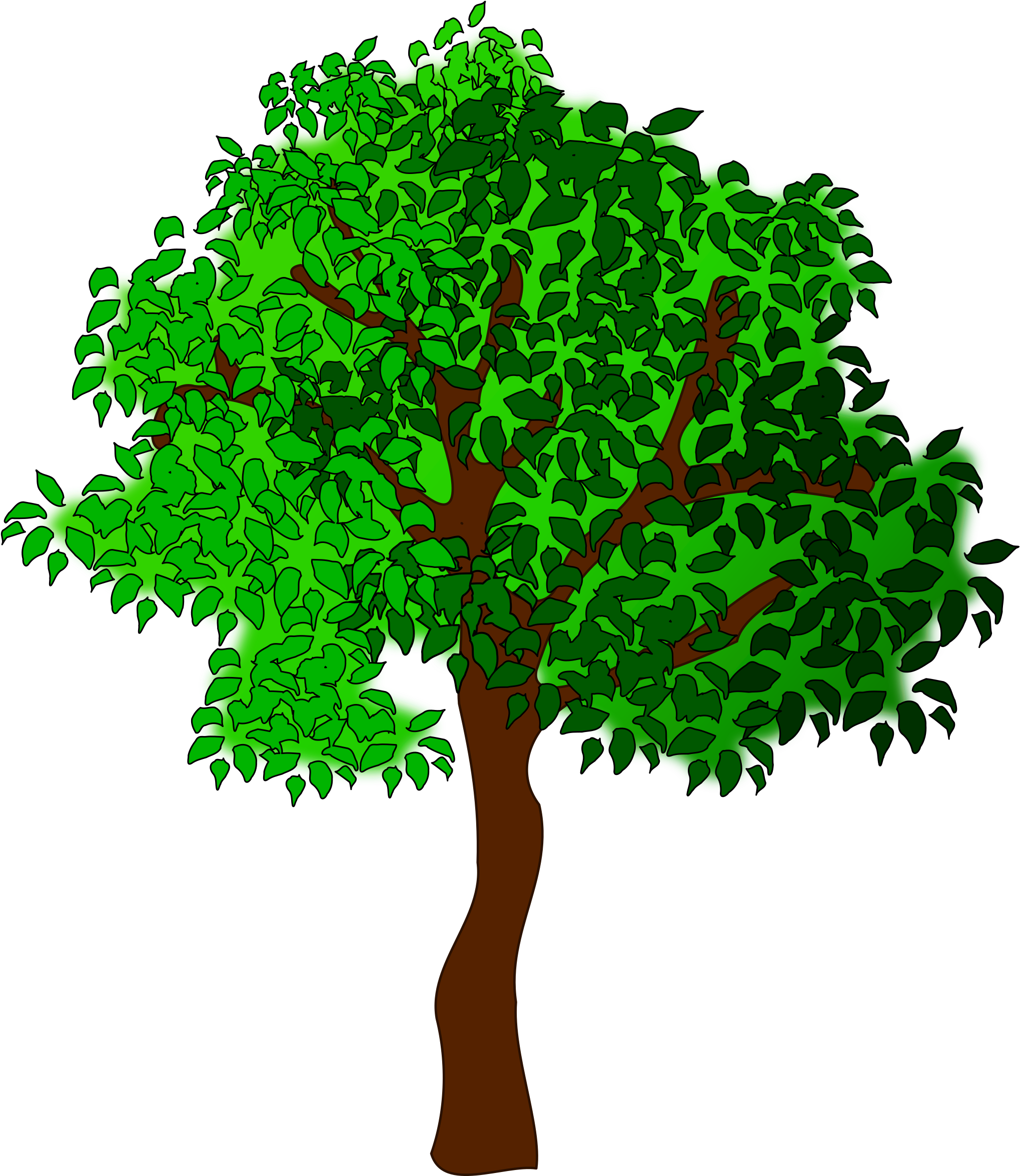 Clipart Tree Big Image - Summer Tree Clipart (2400x2400), Png Download