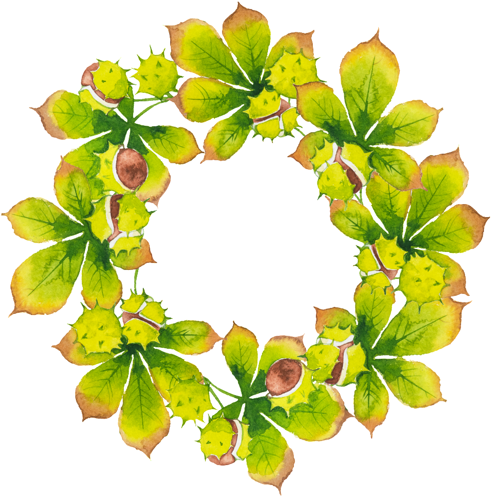 Creative Green Leaf Wreath Hd Png Hand Painted - Plantas En Circulos (1024x1024), Png Download