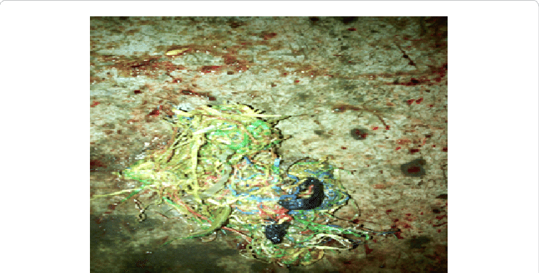 Mixed Recovered From Rumen Of Goat - Goat (761x385), Png Download