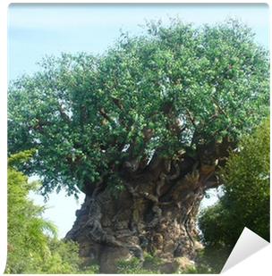 Disney World, The Tree Of Life (400x400), Png Download
