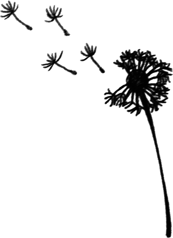 Dandelion In The Wind - Body Jewelry (1224x1632), Png Download
