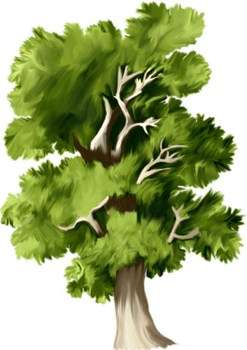 Неразобранное В Деревья Png - Tree (353x500), Png Download