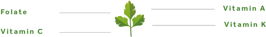 Parsley-01 - Tree (1000x563), Png Download
