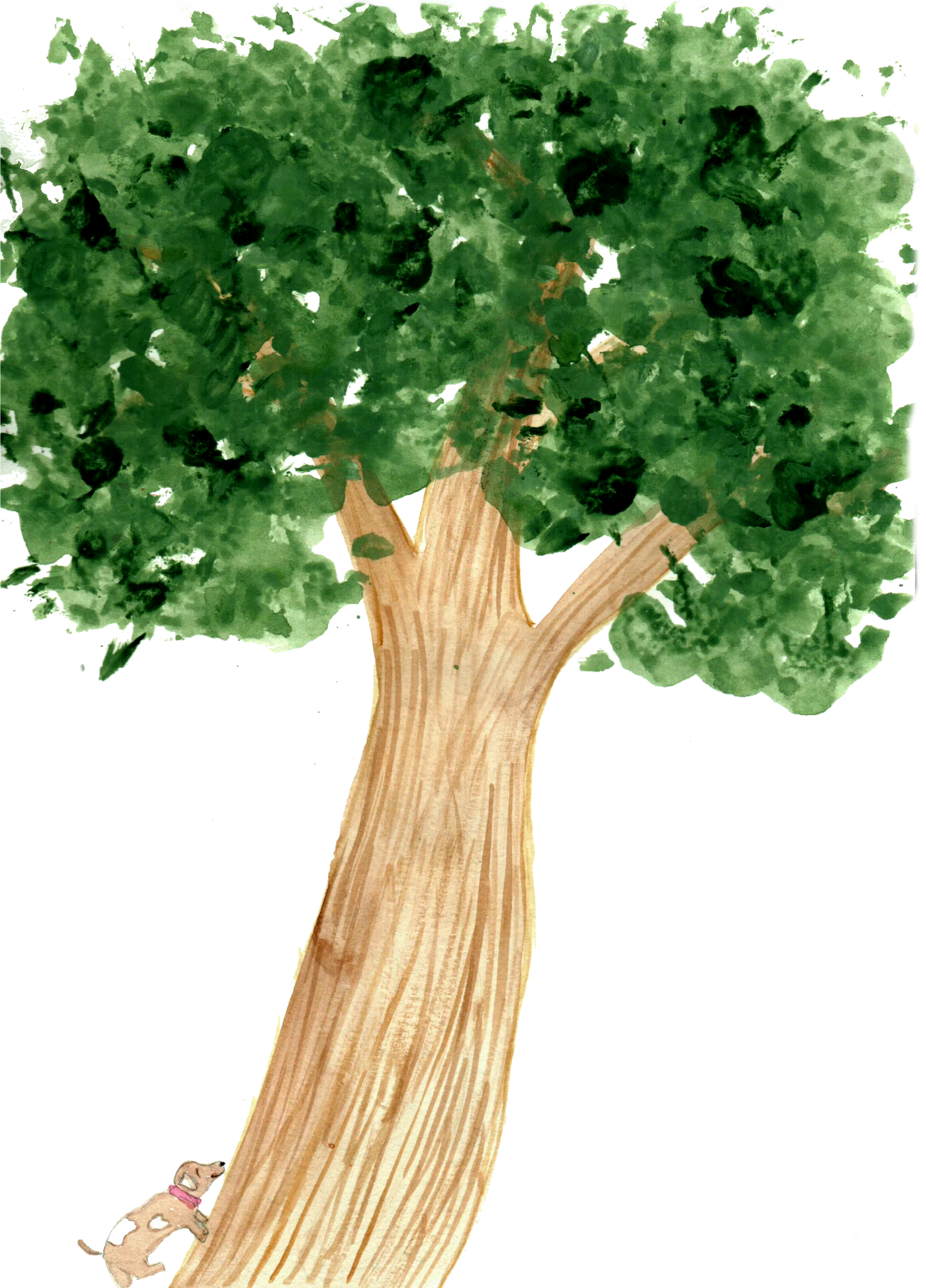 Tree Stump (2576x3520), Png Download