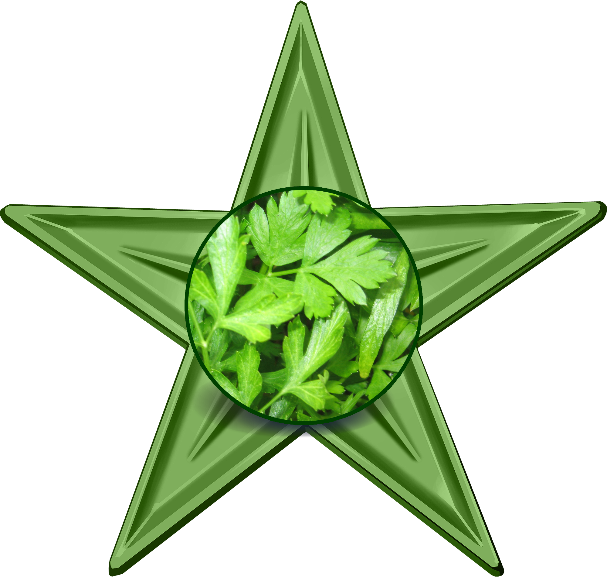 Parsley Barnstar - Parsley Magical Properties (2000x1900), Png Download