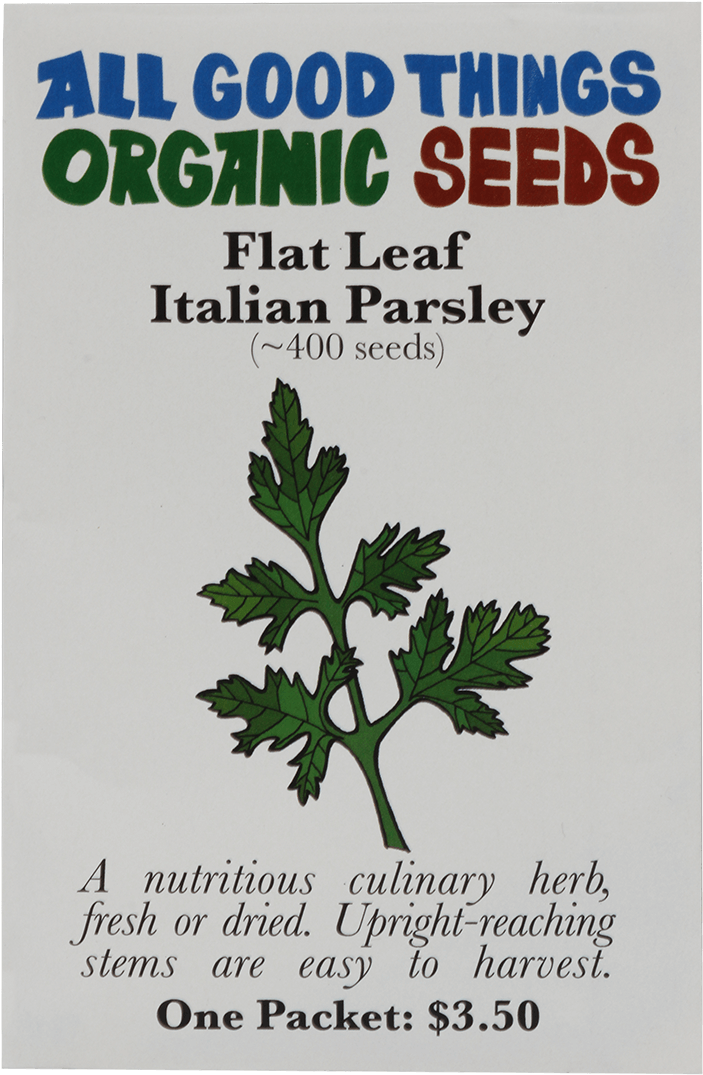 Flat Leaf Italian Parsley - Earth Shift Magnesium Oil (1200x1200), Png Download