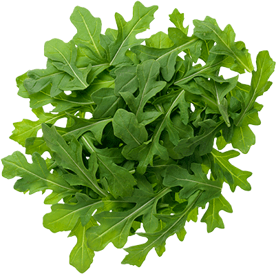 Arugula Png Image - Arugula Plant Health Benefits (600x600), Png Download
