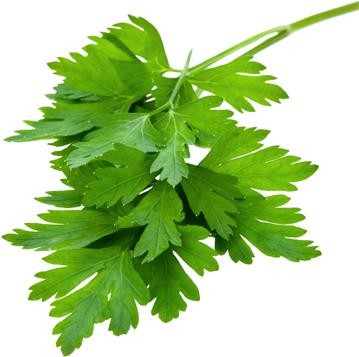 Ing-115 - Salve Supplements Salve Verdure Multivitamin & (700x500), Png Download