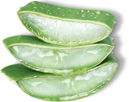 California Aloe Vera - Nature Republic Aloe Vera Png (474x362), Png Download