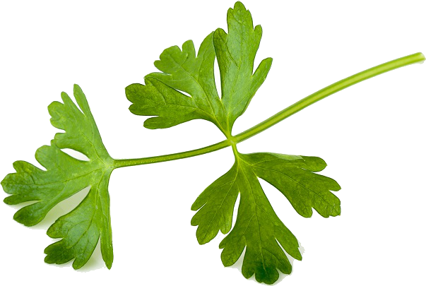 Chimichurri - Parsley (603x405), Png Download