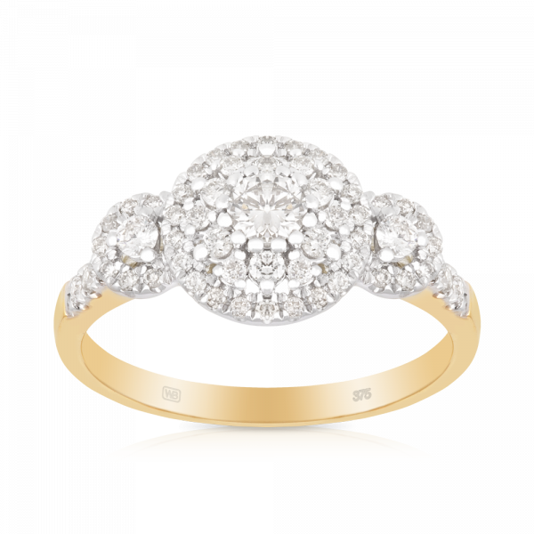 Round Brilliant Cut Diamond Halo Ring Set In 9ct Yellow - Pre-engagement Ring (600x600), Png Download