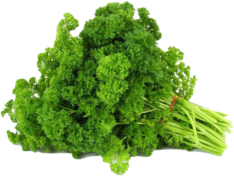 Parsley - Vegetables Flashcard (474x379), Png Download