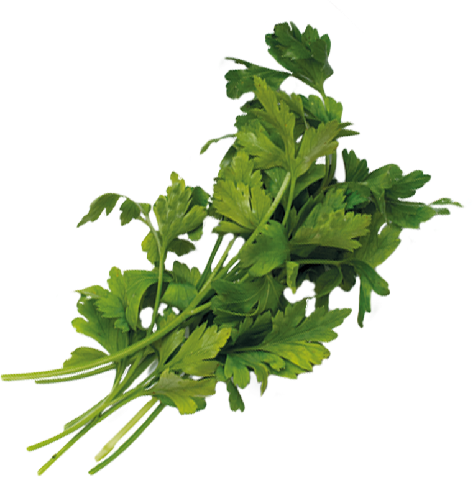 Green Onions Png - Searing (640x640), Png Download