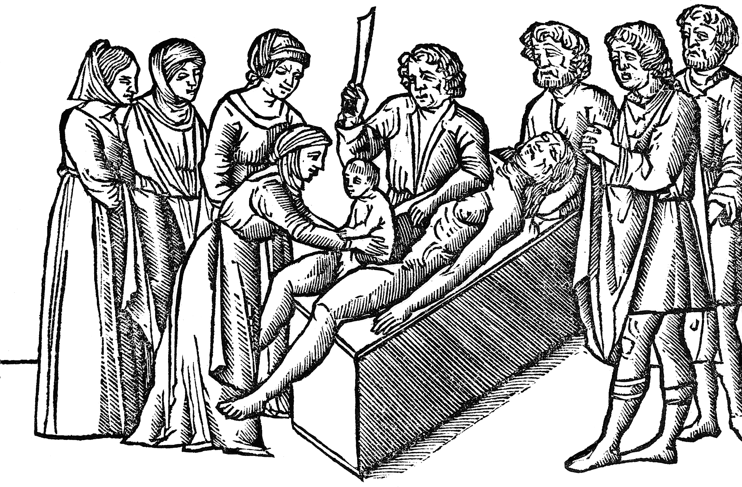 Birth Of The Julius Caesar - Julius Caesar Is Born (2481x1665), Png Download