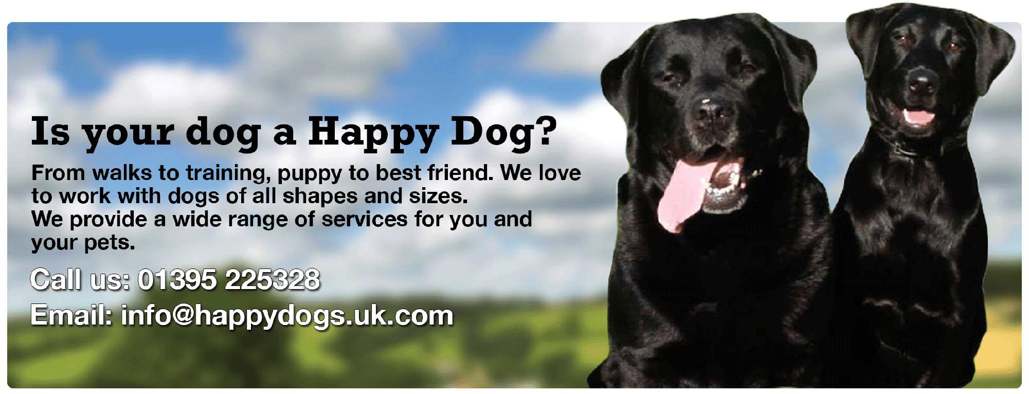 Puppy - Dog Yawns (2000x800), Png Download