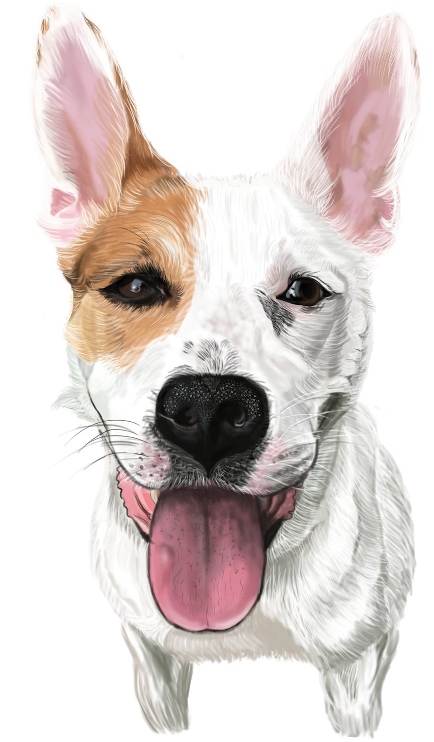 Watercolor - Portrait (1200x1600), Png Download
