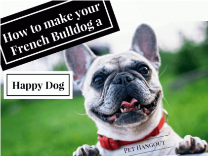 Dogs: Password Book When You Looks Like A Regular Book (600x315), Png Download
