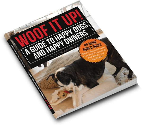 Dog Catches Something (600x534), Png Download