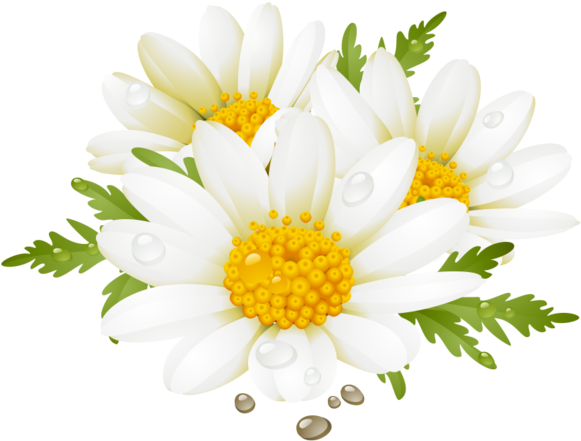 Daisy Clipart Flores - Summer Flower Clip Art (600x485), Png Download
