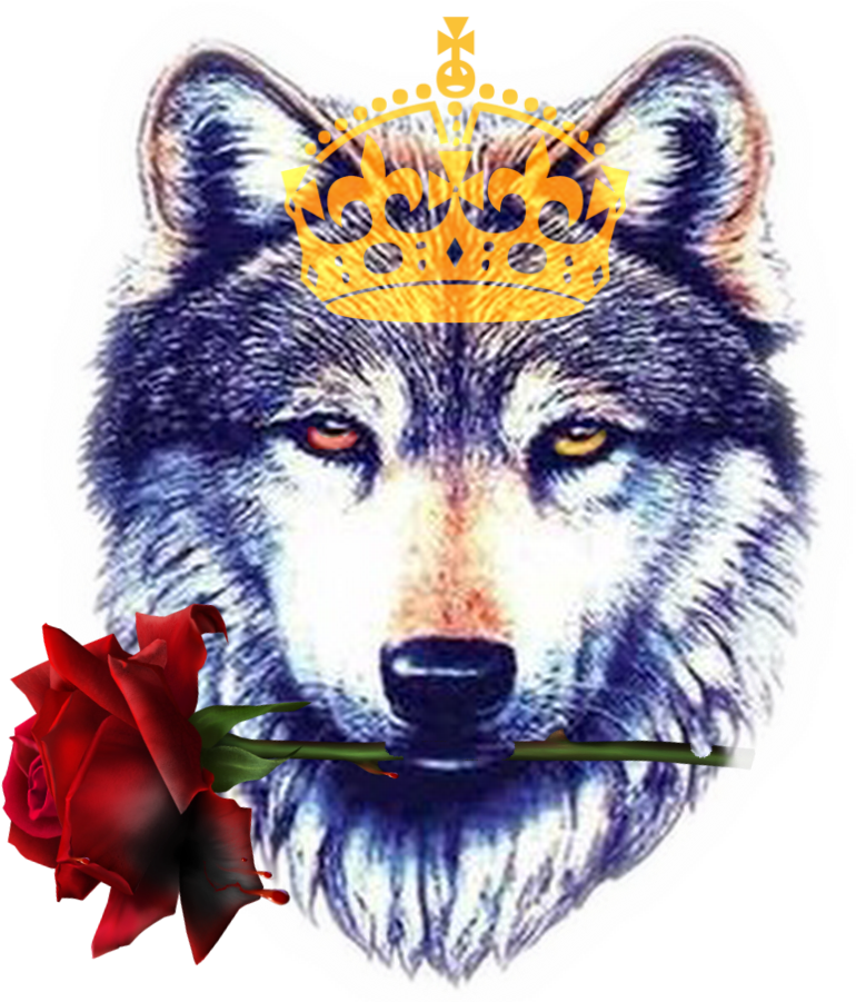 Amazing Wollf Head Tattoo Design Sample - Wolf Tattoo (900x900), Png Download