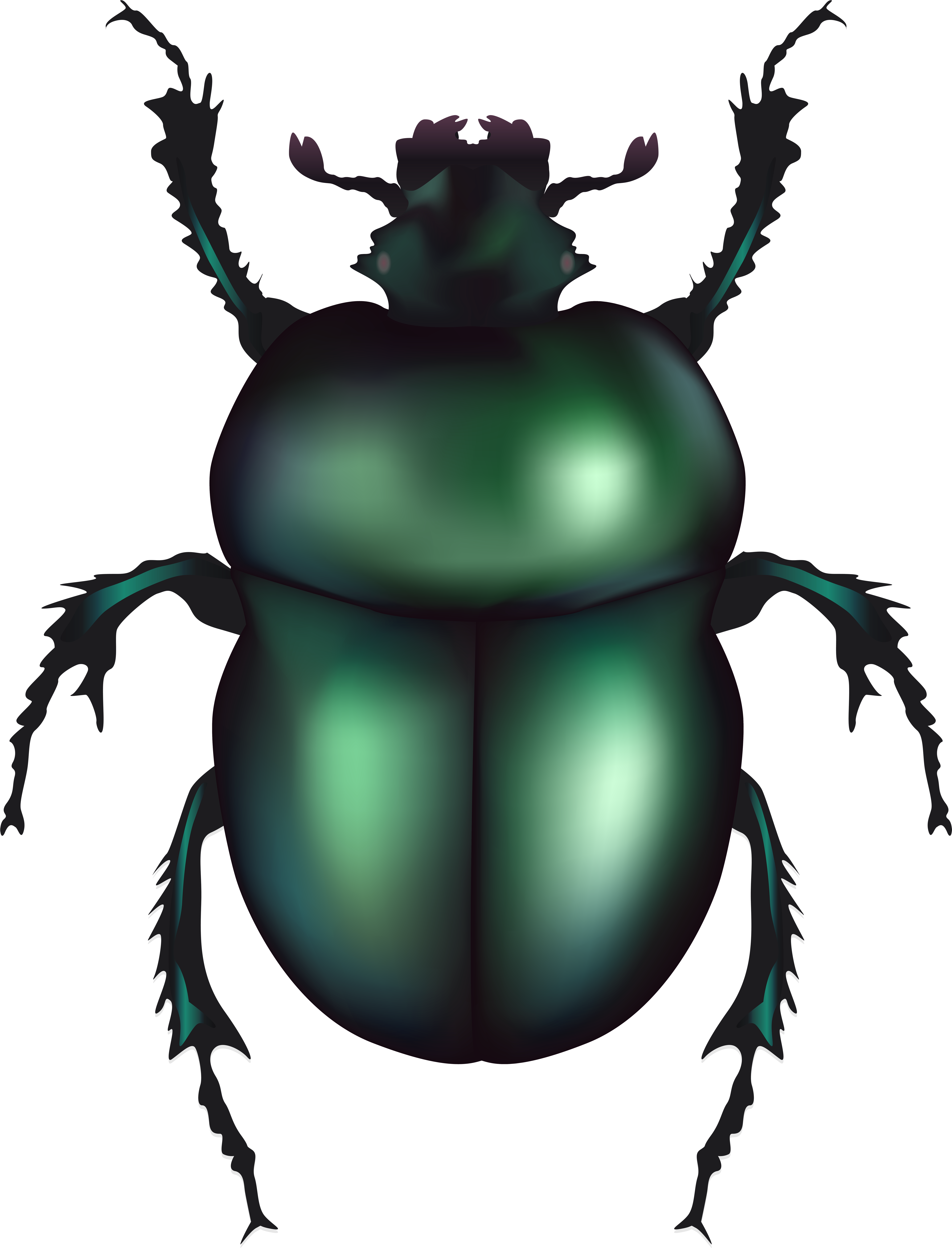 Beetle Clipart At Getdrawings (6101x8000), Png Download