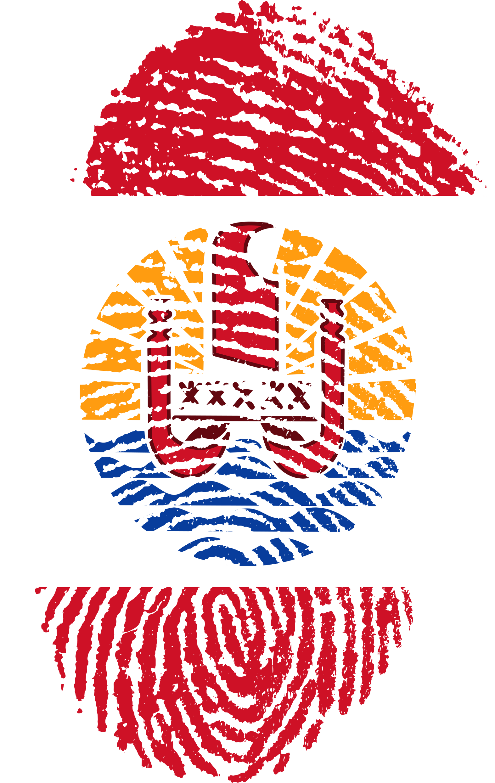 French Polynesia Flag Fingerprint 662419 - Bandeira Do Brasil Png Transparente (1573x2488), Png Download