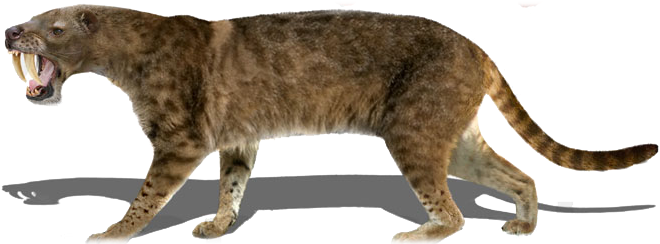 1698238 Orig - Cave Lions (694x254), Png Download