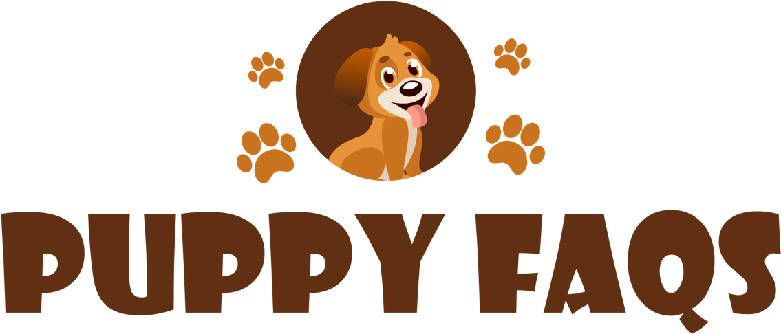 Puppy Faqs - Bridge D'italia (1200x807), Png Download