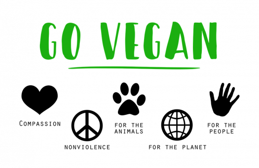 After School, I Walk Home Directly To The Cabinet In - Vegan Vegetarian (525x341), Png Download